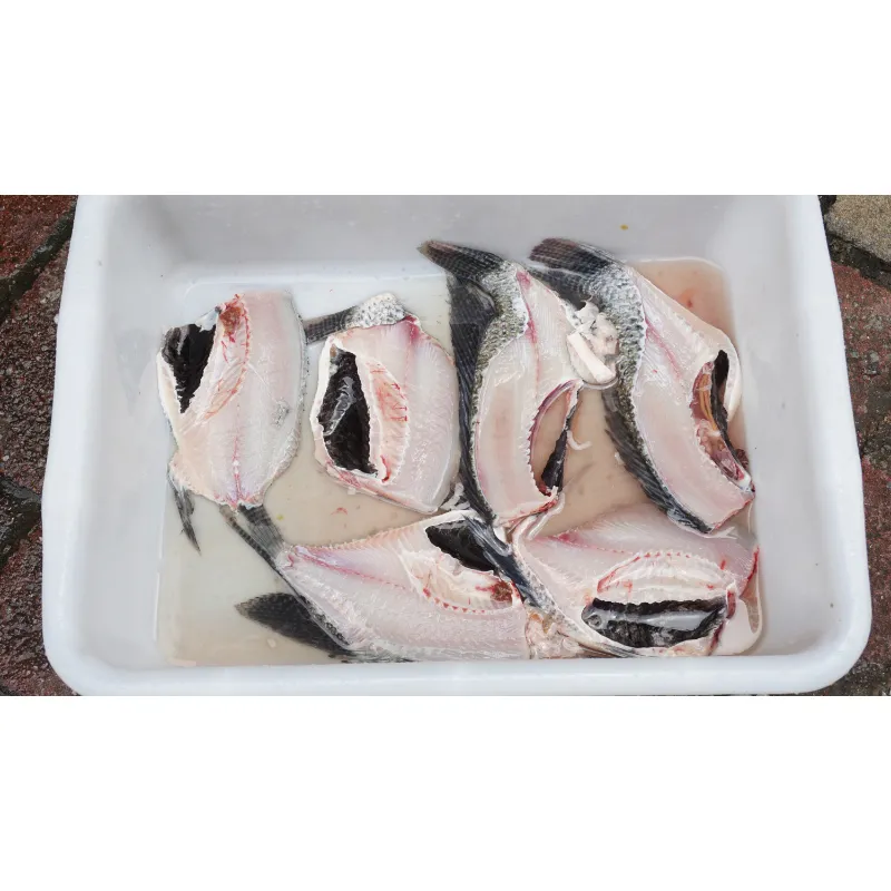 FGB-180 Medium Size Fillet Machine