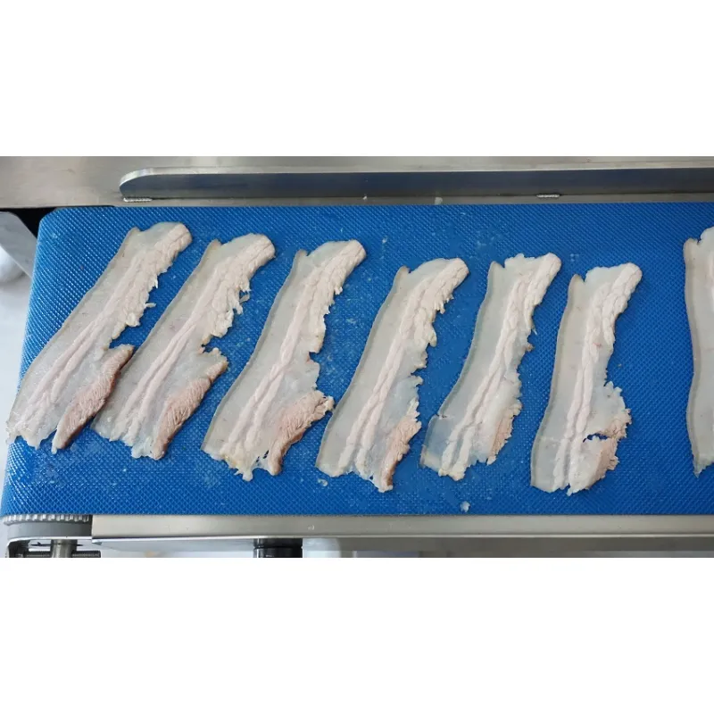 FC-304C-XL Meat slicing machine