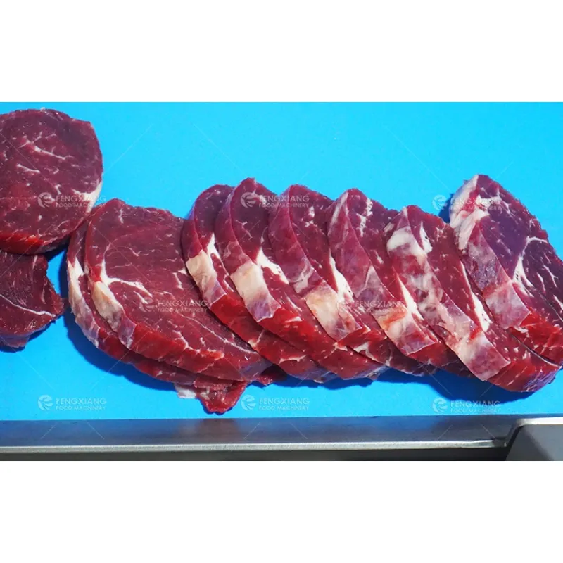 FKP-21/25 Meat slicing machine