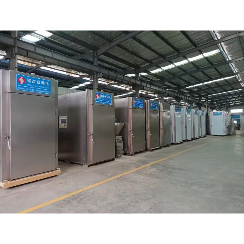 MYX-QD-100 Meat smoker machine