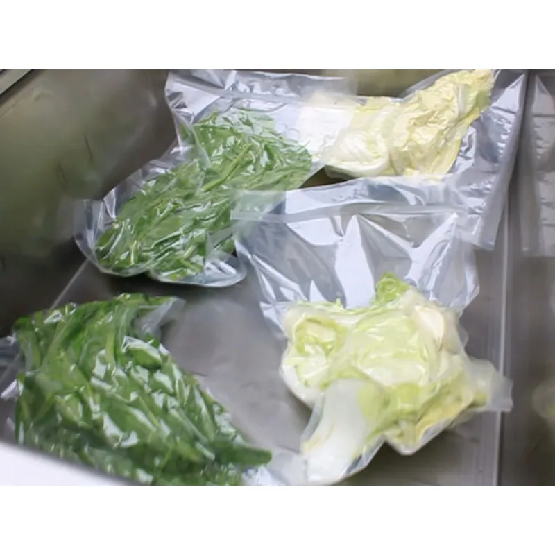DZ-600 vacuum pack machines