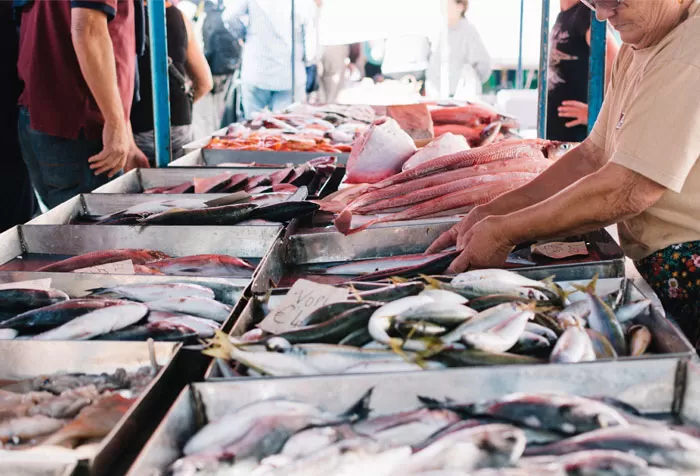 In-depth Insights Report on the Fish Processing Equipment Industry in the Southeast Asian Market