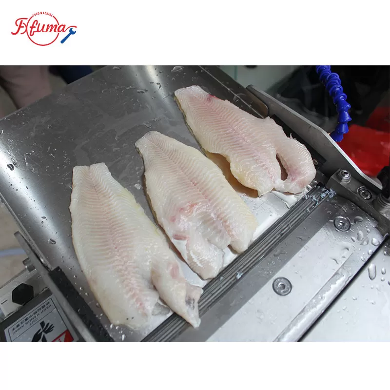 fish fillet