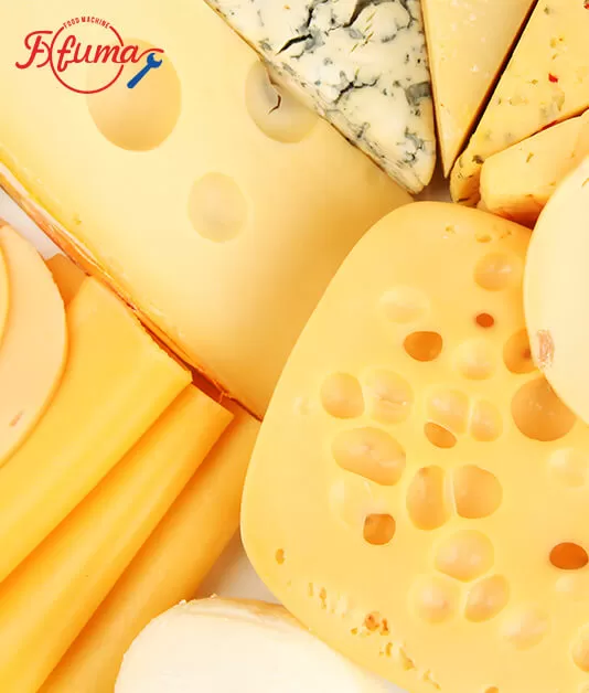 Cheese Cutting/Slicing/Shredding Machine Selection Guide