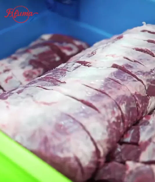 FKP-25 Meat Portioner Steak Cutting Machine Instruction Manual