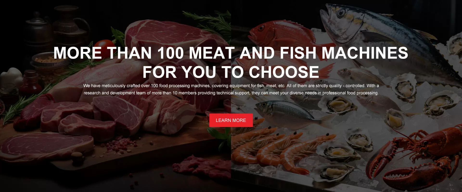 over 100+ food processing machines for u to choose