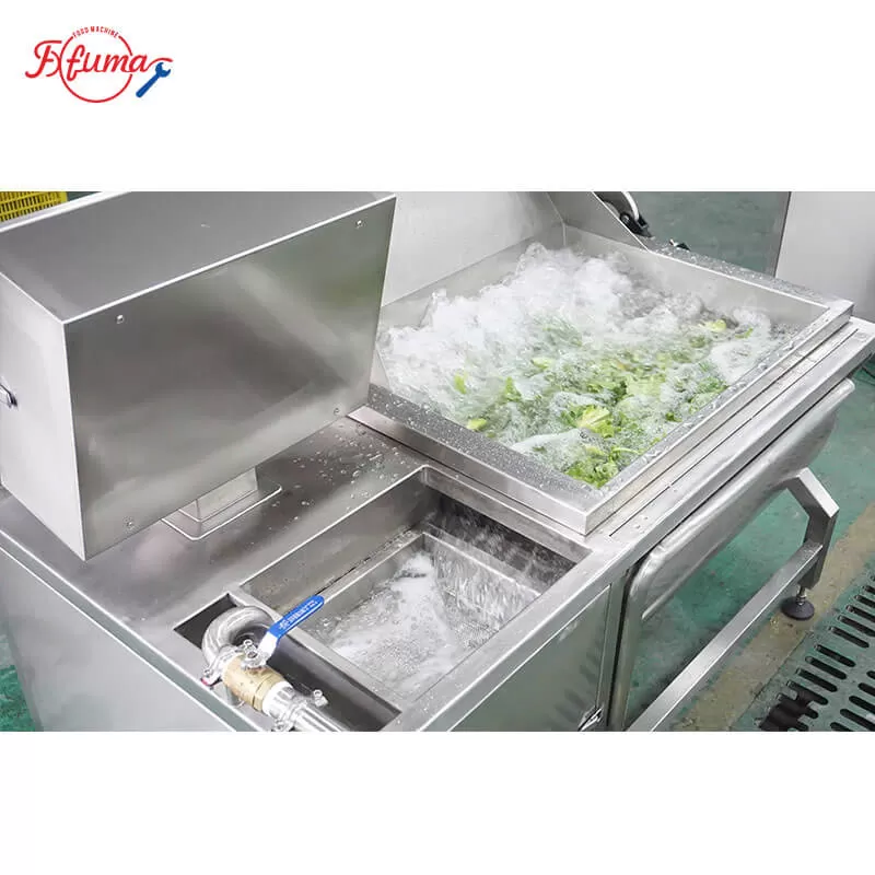 automatic-fish-washer-machine-stainless-steel.