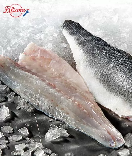 Fish Fillet Cutting Machine (FGB-180) Test Report: Cod Processing Efficiency & Maintenance Guide