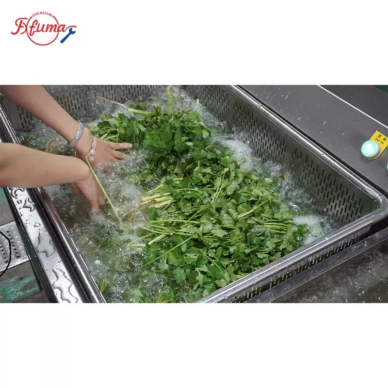 ultrosonic fish washer with tank 
