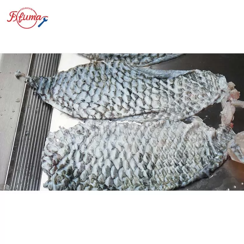 tilapia fish skin