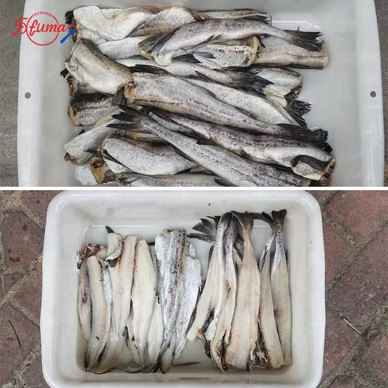 FGB-180 Medium-sized fish fillet machine (3 fillets)