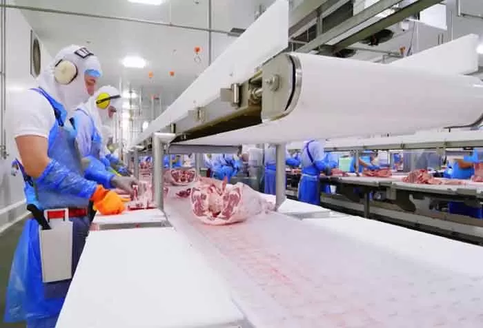 Preliminary Product Planning and Equipment Recommendations for Food Production Facilities (Part 1)