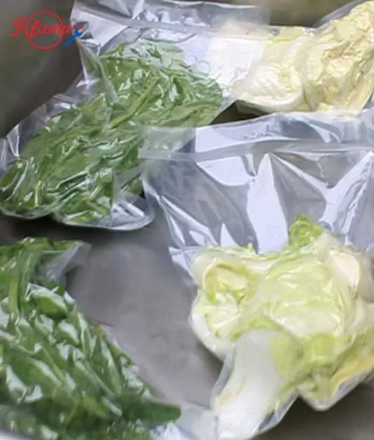 vacuum packing machine for food