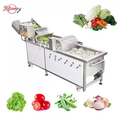 WA-1000 Commercial Vegetable Washer with Impurity Removal Drum