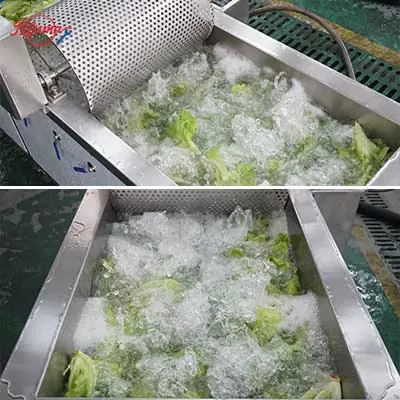 vegetable washing machine