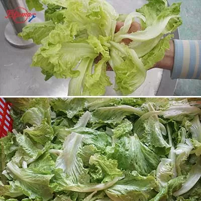 vegetable washing machine
