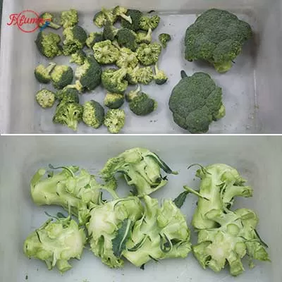 automatic-broccoli-cauliflower-cutting-machine.jpg