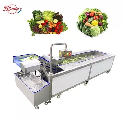 New Vortex Vegetable Cleaner Machine with Four Washing Mode