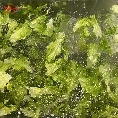 New Vortex Vegetable Cleaner Machine