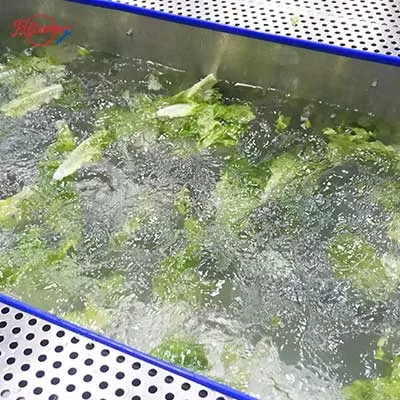 New Vortex Vegetable Cleaner Machine