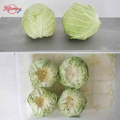 FXFM ELectric Cabbage Corer Machine