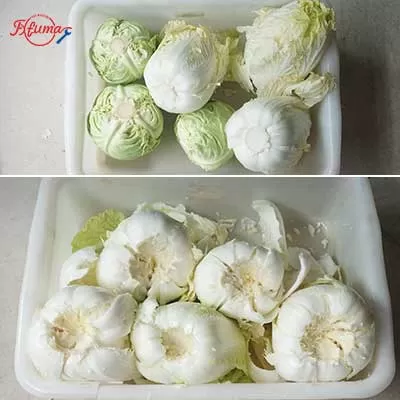 FXFM ELectric Cabbage Corer Machine