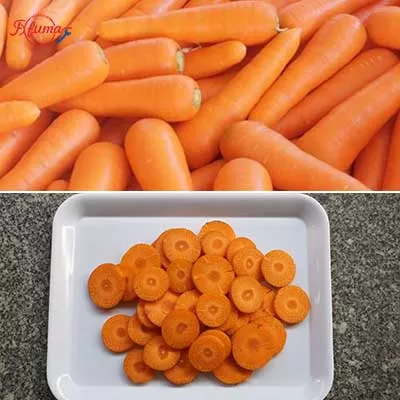 Commercial electric vegetable cutting machine slicing carrots