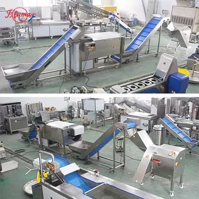potato washing peeling cutting machines