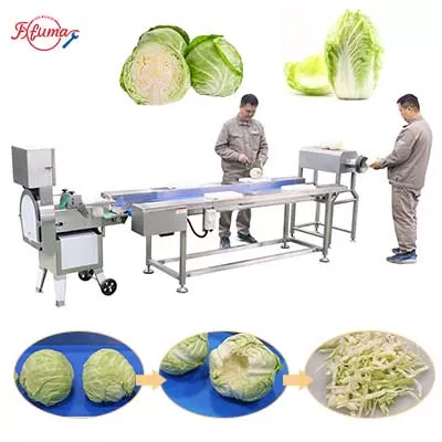 Commercial Cabbage Processing Solution-Coring and Shredding