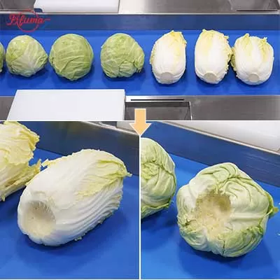 cabbage coring machine