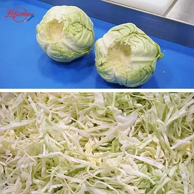 cabbage shredder machine
