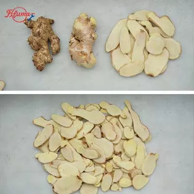 industrial vegetable processing line