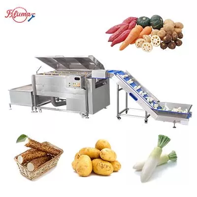 Root Vegetable Carrot Raddish Brush Washer Machine with Elevator and Tank