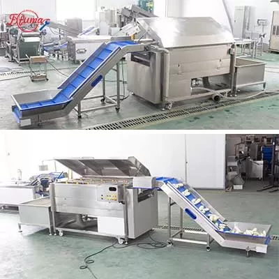 Raddish Brush Washer Machine