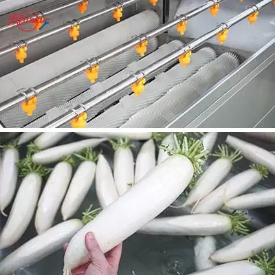 Raddish Brush Washer Machine