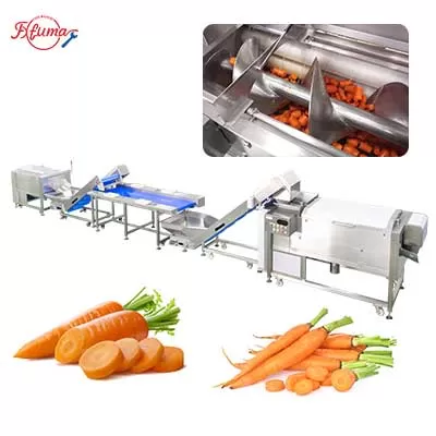 Carrot Processing Line - Washing, Cutting and Peeling Machine