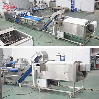 Carrot Processing Line - Washing, Cutting and Peeling Machine