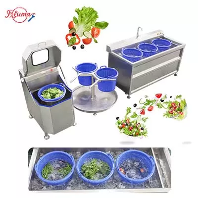 Compact Vegetable Salad Ultrasonic Cleaning Line - Washing and Dehydrator