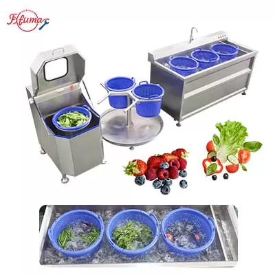 Compact Vegetable Salad Ultrasonic Cleaning Line - Washing and Dehydrator