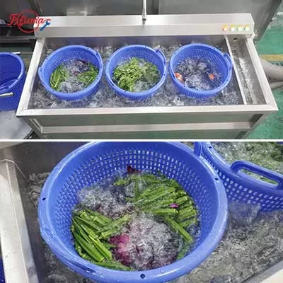 Compact Vegetable Salad Ultrasonic Cleaning Line - Washing and Dehydrator