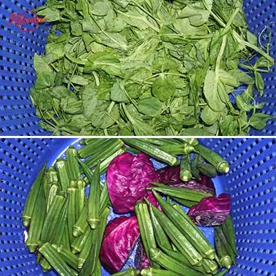 Compact Vegetable Salad Ultrasonic Cleaning Line - Washing and Dehydrator