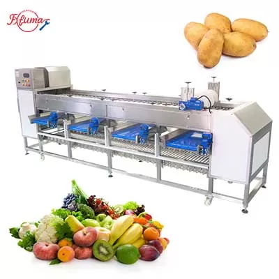 fruit vegetable roller sorter and grader