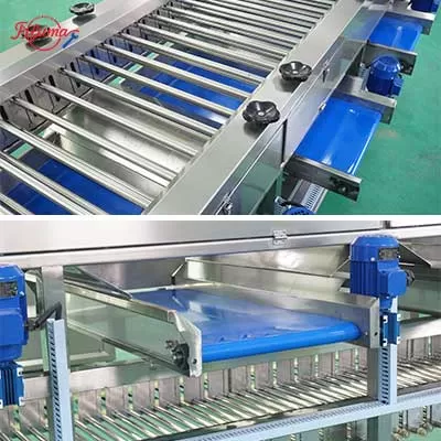 industrial fruit grader machine