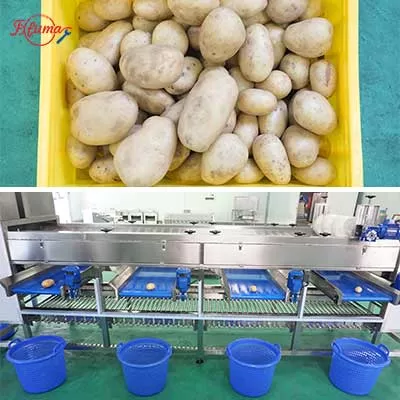 stainless steel roller grading machine