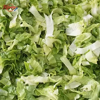 Vegetable Salad Centrifugal machine