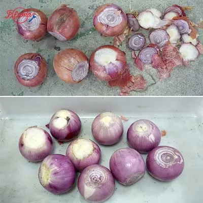 onion peeler machine