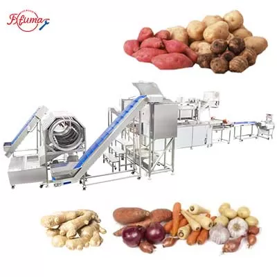 Automatic Potao Ginger Lotus Yam Wash Peel Blanch Cut Process Solution