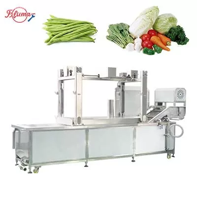 industrial vegetable blancher