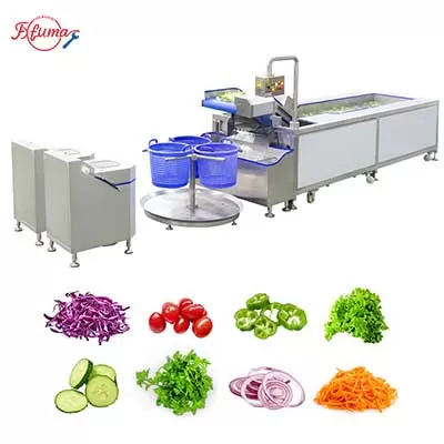 Leafy Greens Salad Lettuce Washing & Spin Dryer Line