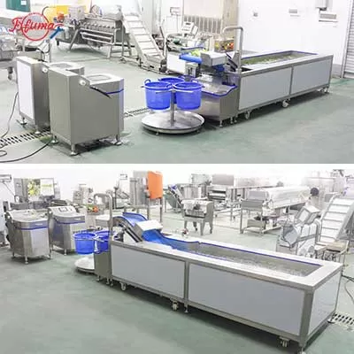 Leafy Greens Salad Lettuce Washing & Spin Dryer Line